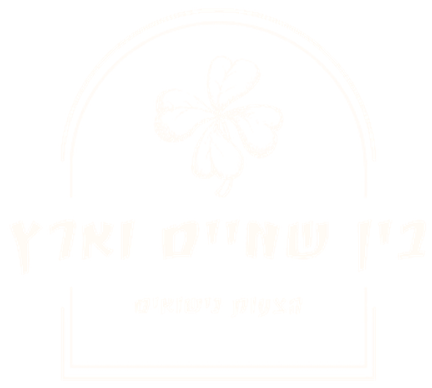 בין שמיים וארץ · הצעות נישואין